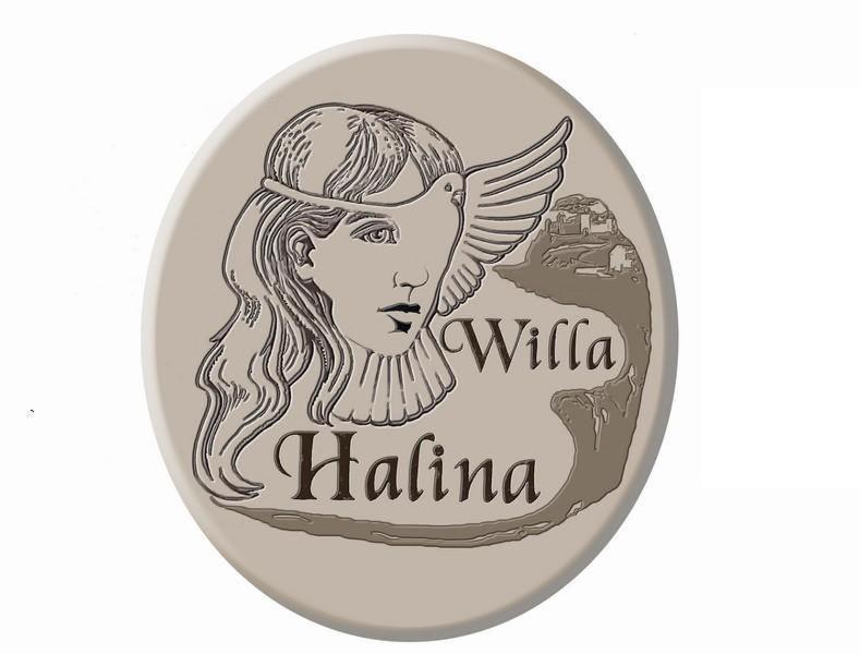 Willa Halina Sandomierz Exterior photo